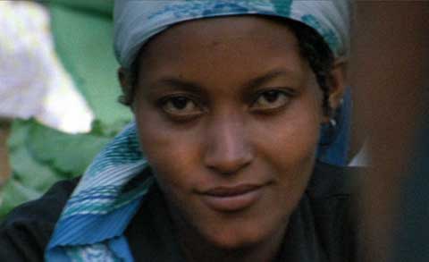 Sans Soleil (Marker)