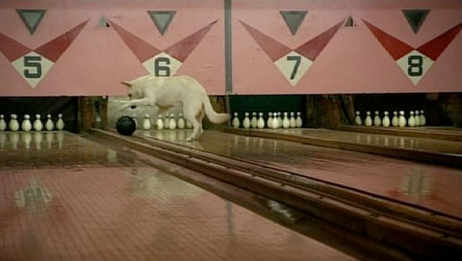 Pin Boy (Poliak, 2005)