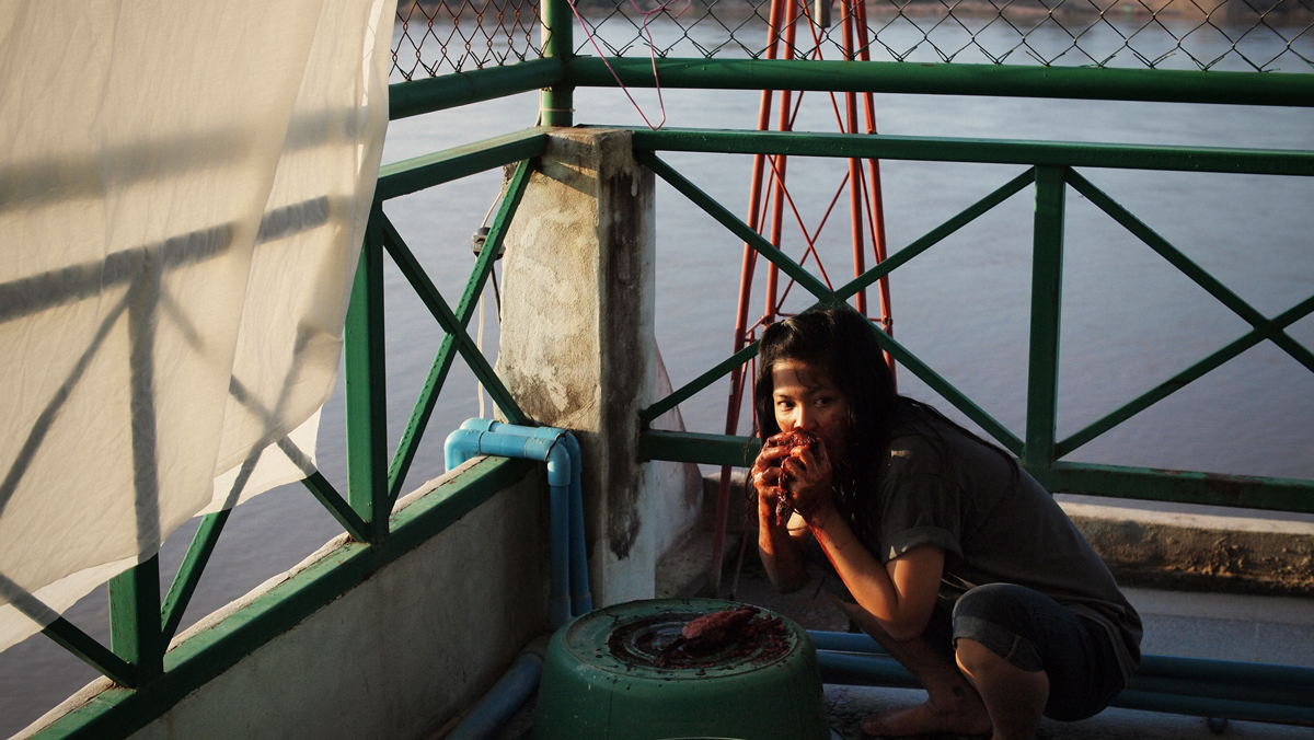 Mekong Hotel (Apitchatpong Weerasethakul, 2012)