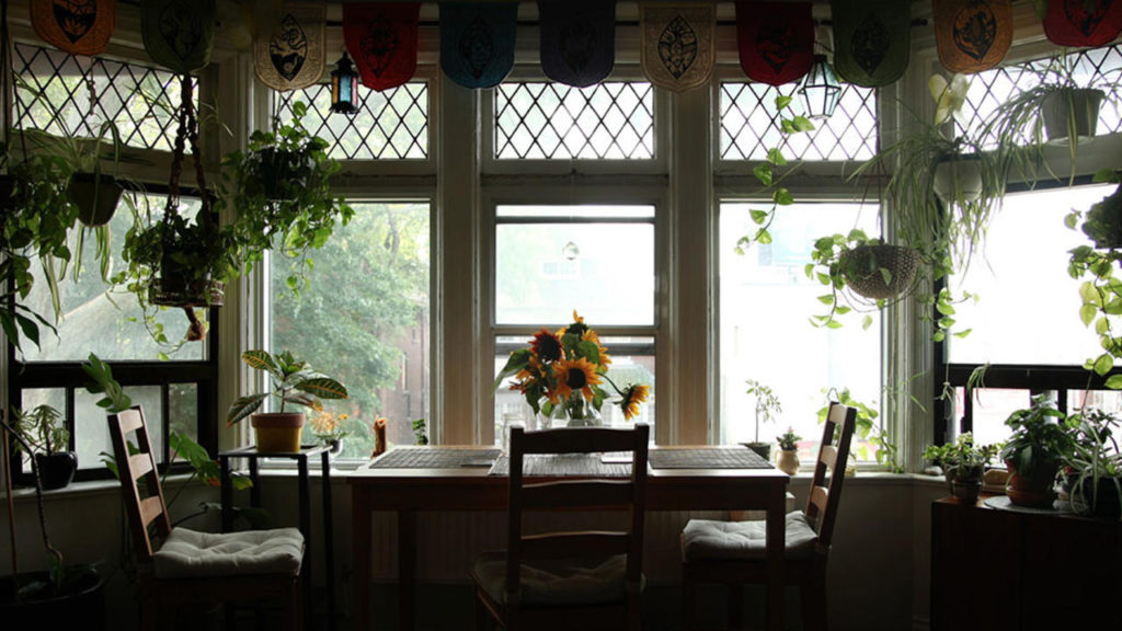 Palmerston Blvd. (Dan Browne, 2017)