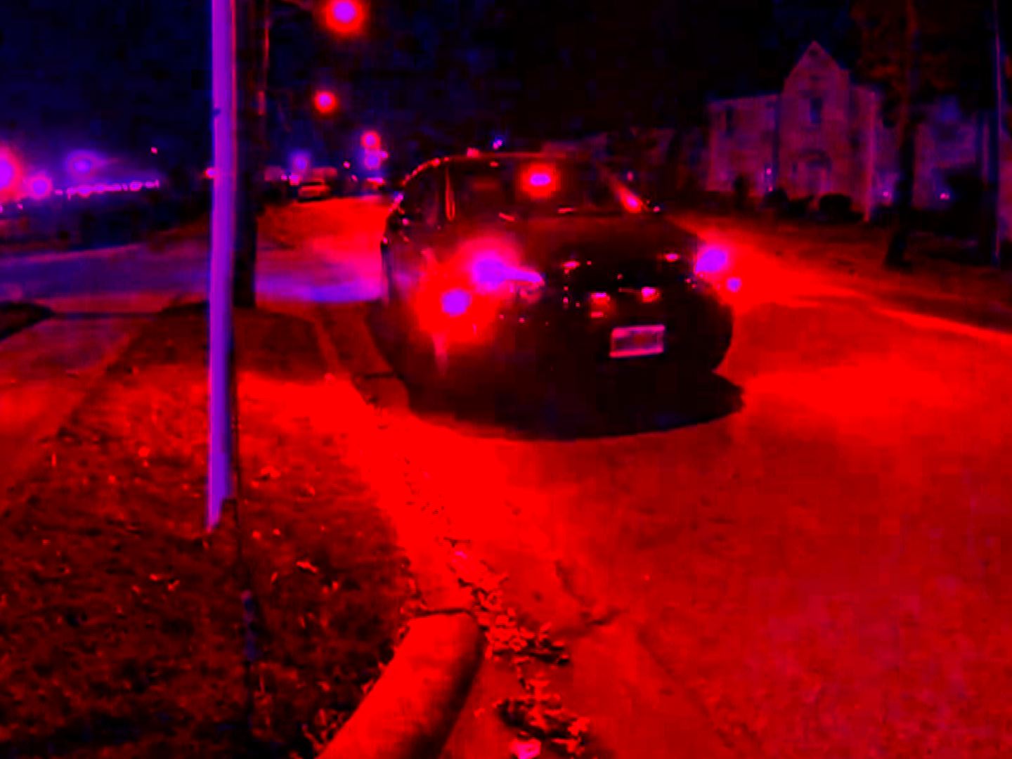 Red Capriccio (Blake Williams, 2014)